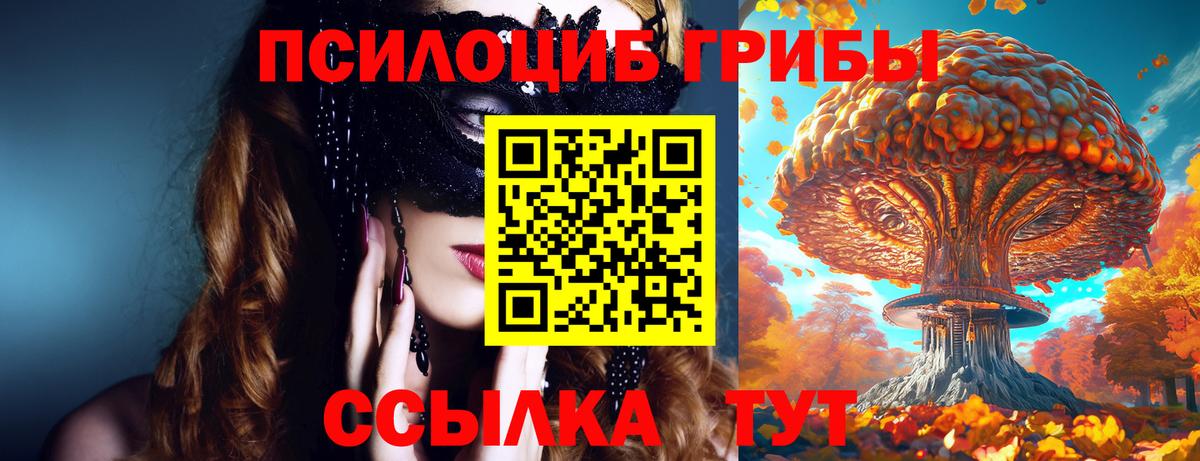 Луховицы  наркошоп  Псилоцибиновые грибы MAGIC MUSHROOMS  Вход с VPN  Псилоцибиновые грибы ЛСД 
