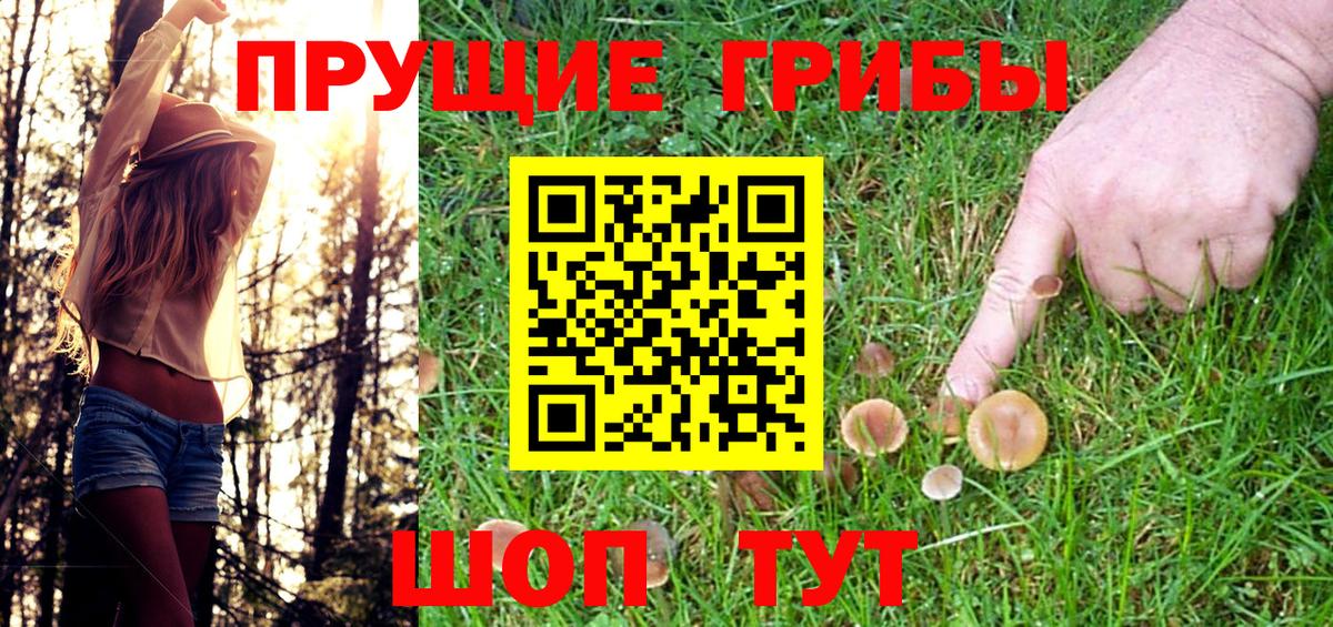 Галлюциногенные грибы MAGIC MUSHROOMS Луховицы